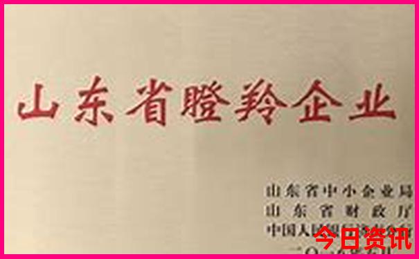 现在去哪里玩最好
