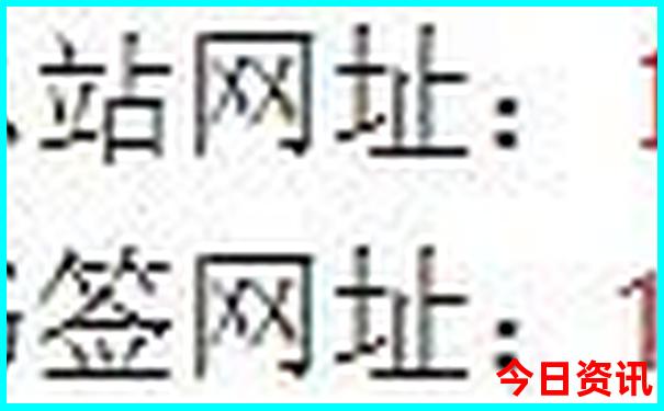 买马十二生肖网站2025